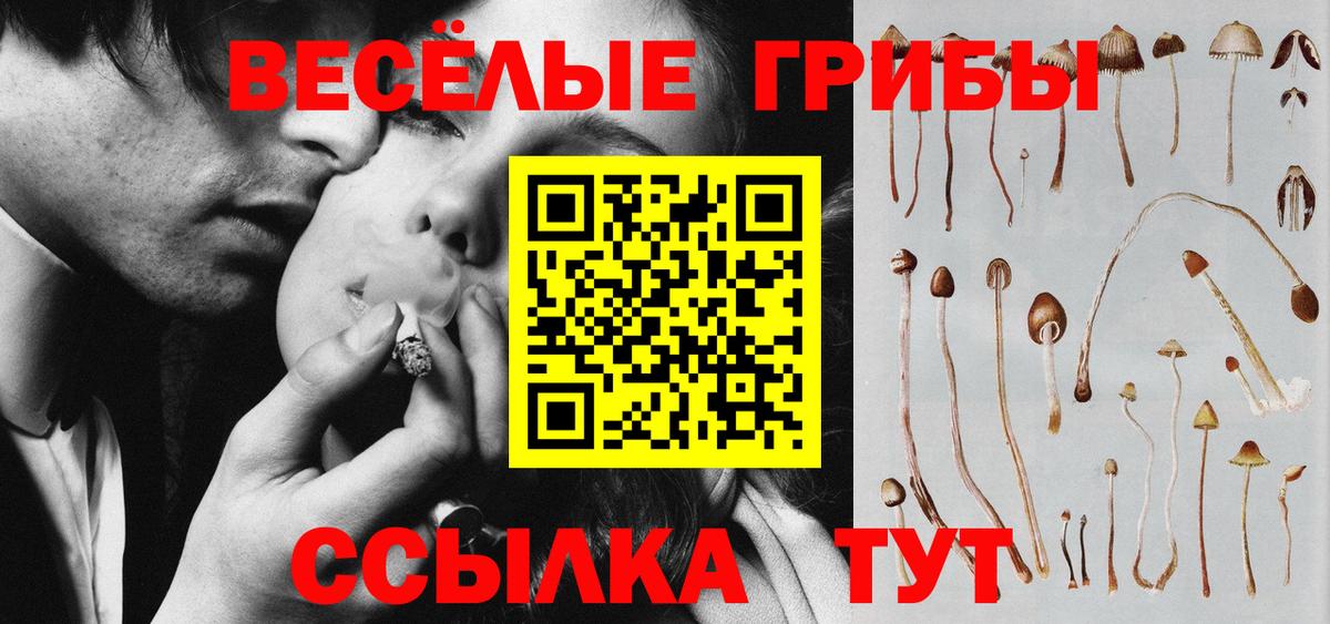 Галлюциногенные грибы GOLDEN TEACHER Артёмовский